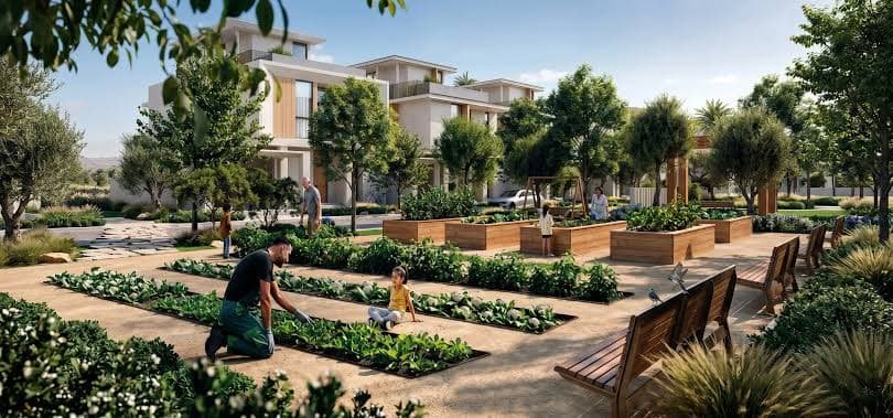 Dubai Property